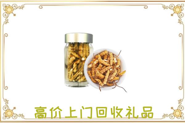 徐州市周边回收虫草